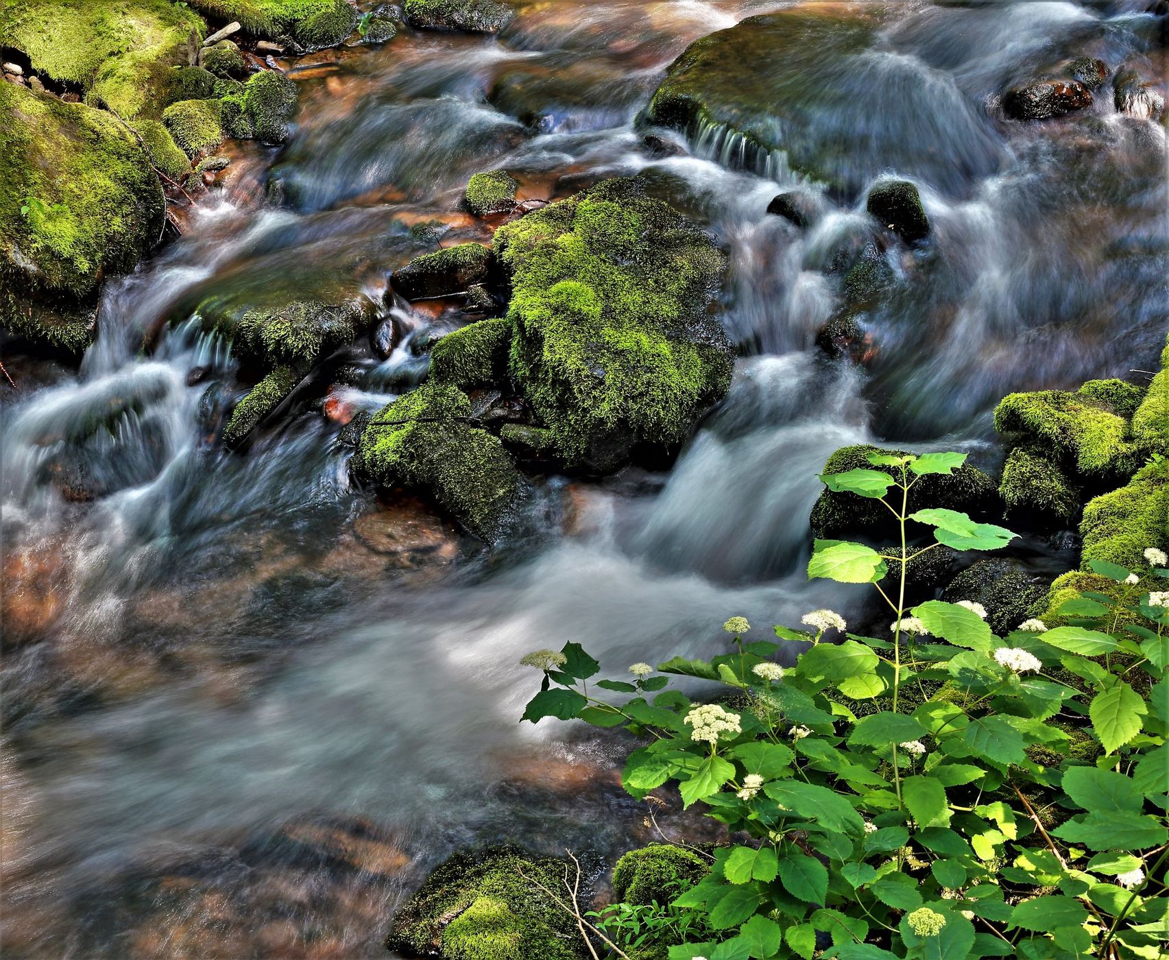 Stream, USA