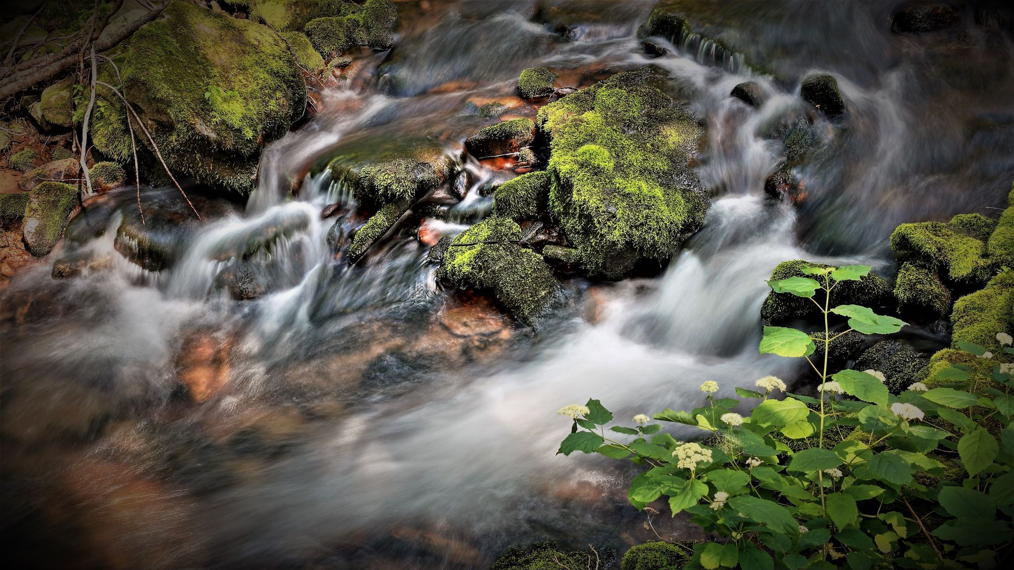 Stream, USA