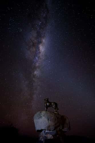 Tekapo Dog Momument