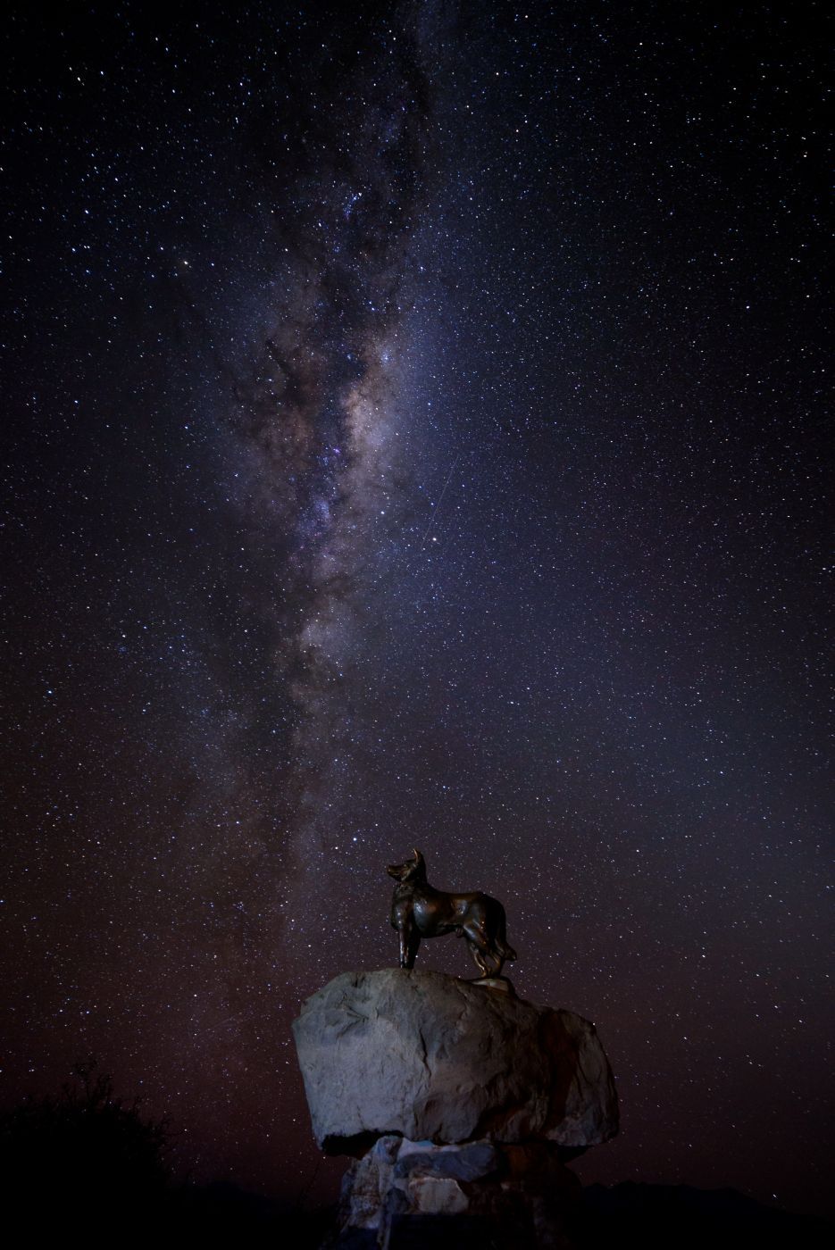 Tekapo Dog Momument, New Zealand