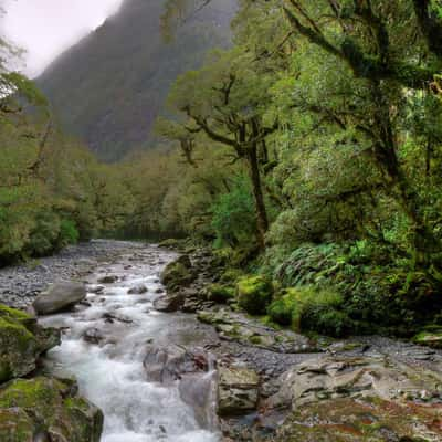 The Chasm Viewing Bridge, New Zealand