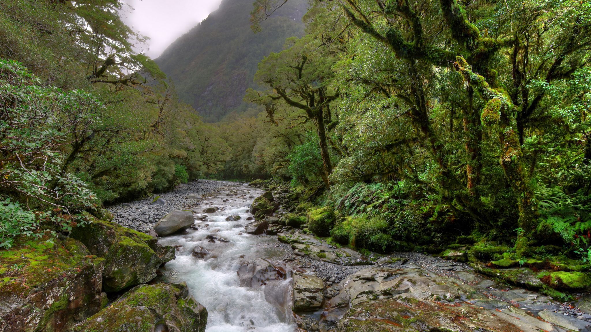 The Chasm Viewing Bridge, New Zealand