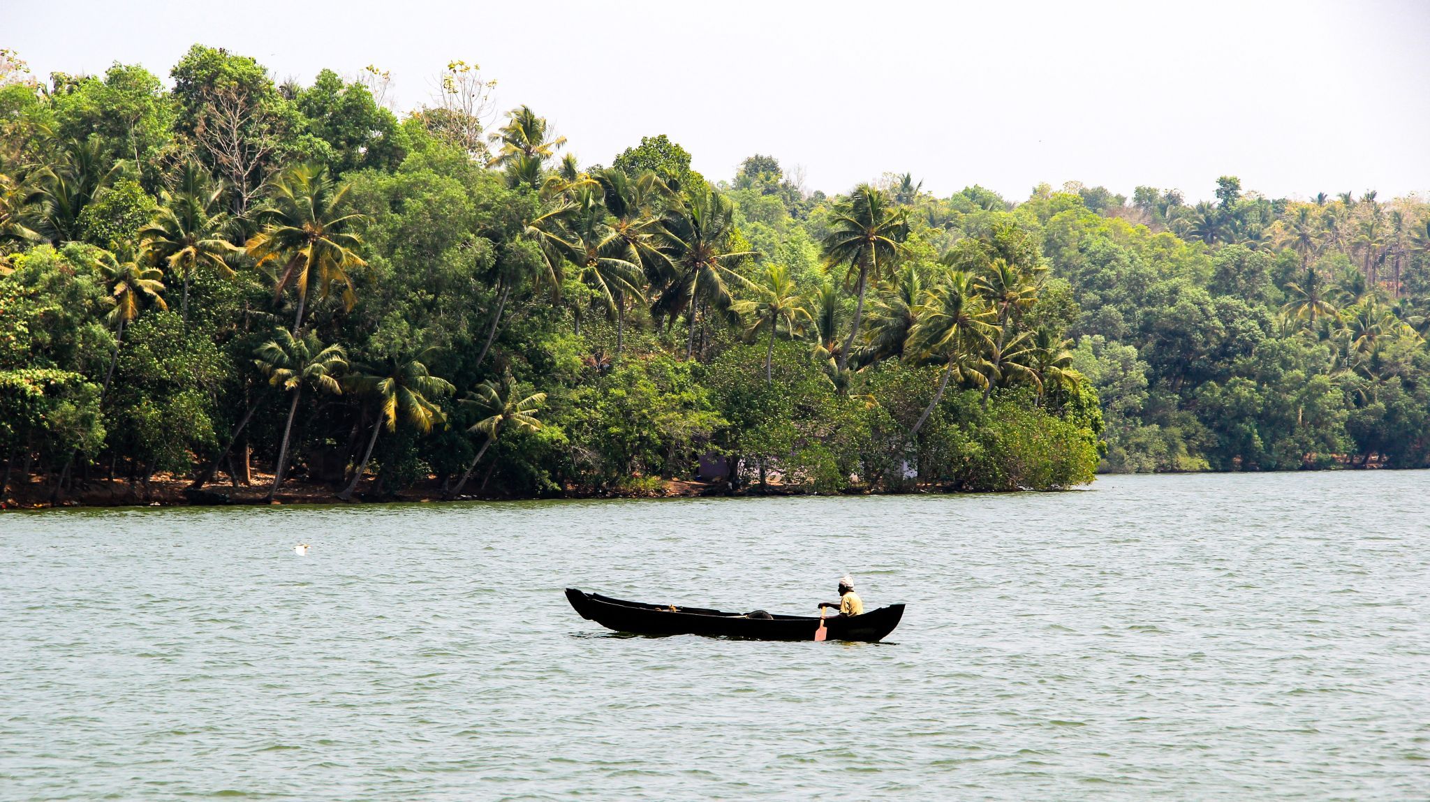 The fisherman, India