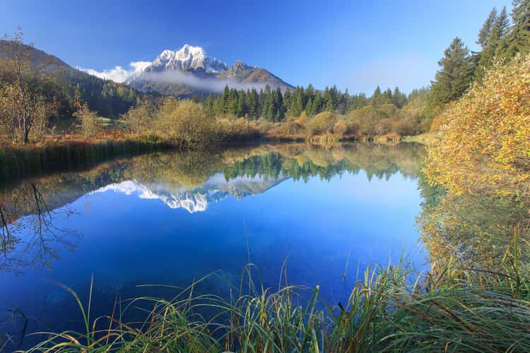 Lake Zelenci
