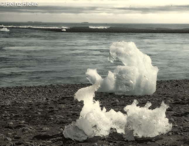 Turtle Iceberg on the beach