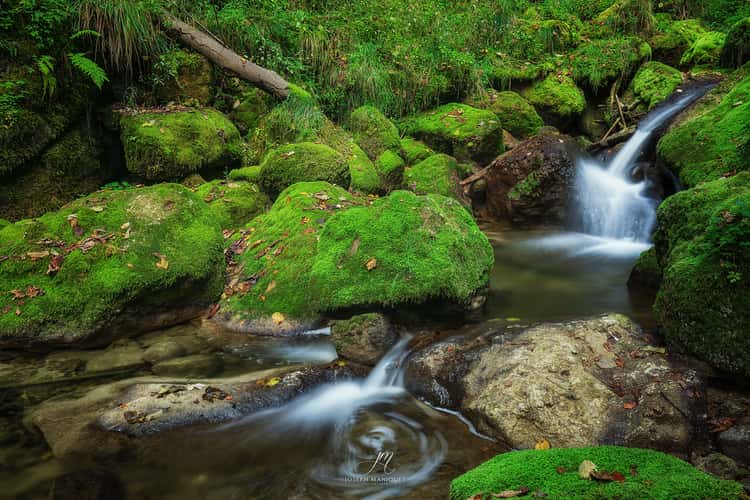 Twannbachschlucht