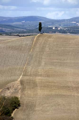 Val d´Orcia  -  Tuscany