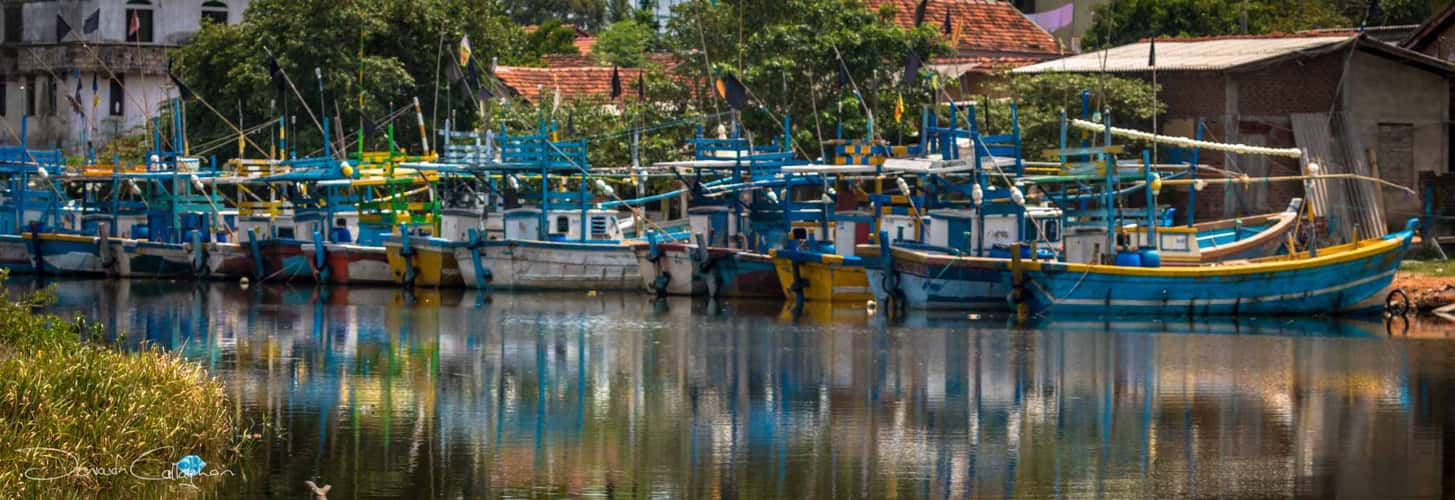 Valaichechena sri lanka