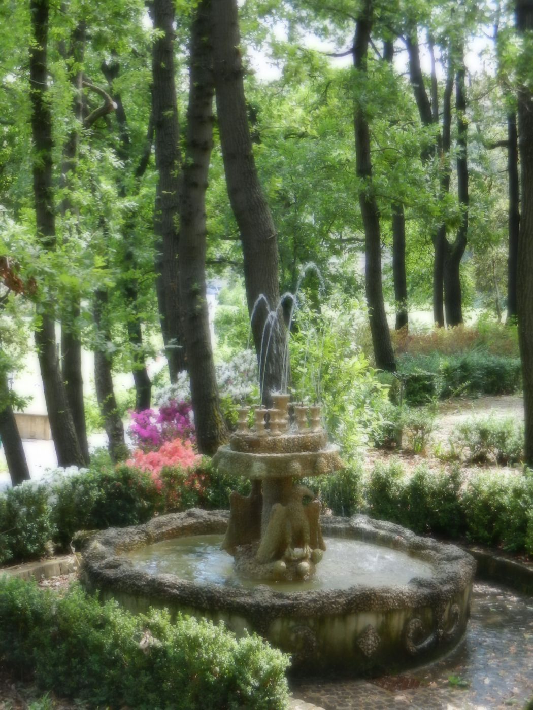 Vatican Rose Garden, Vatican City State