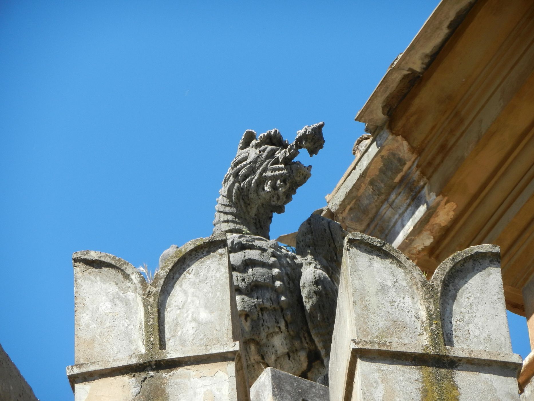 Vatican Rose Garden, Vatican City State
