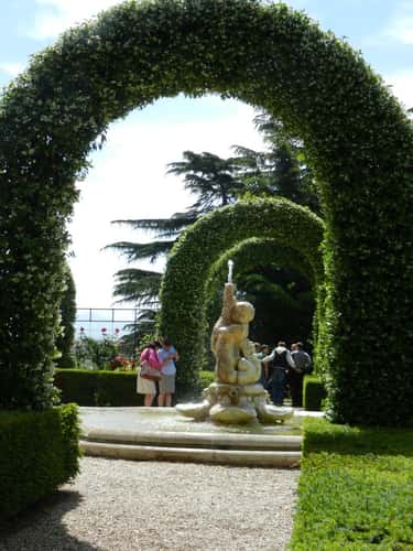 Vatican Rose Garden