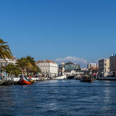 View from Moliceiro, Portugal