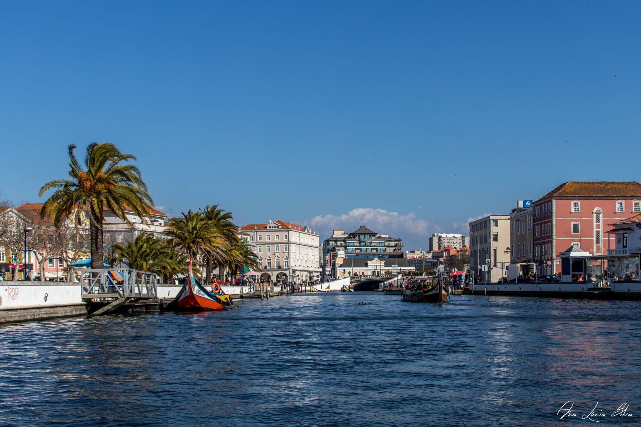 View from Moliceiro, Portugal