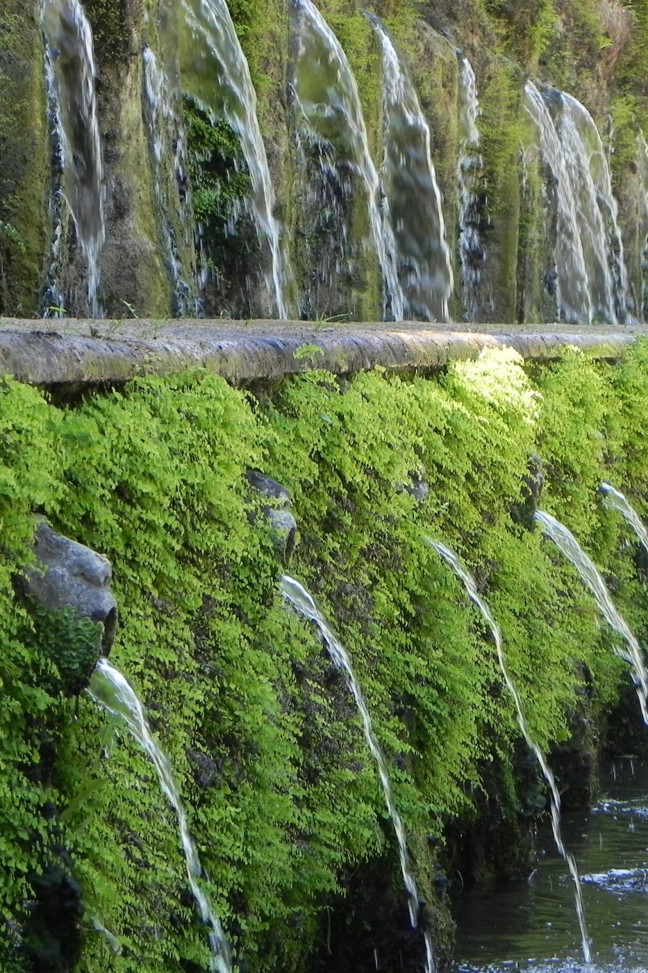 Villa d'Este Garden, Italy