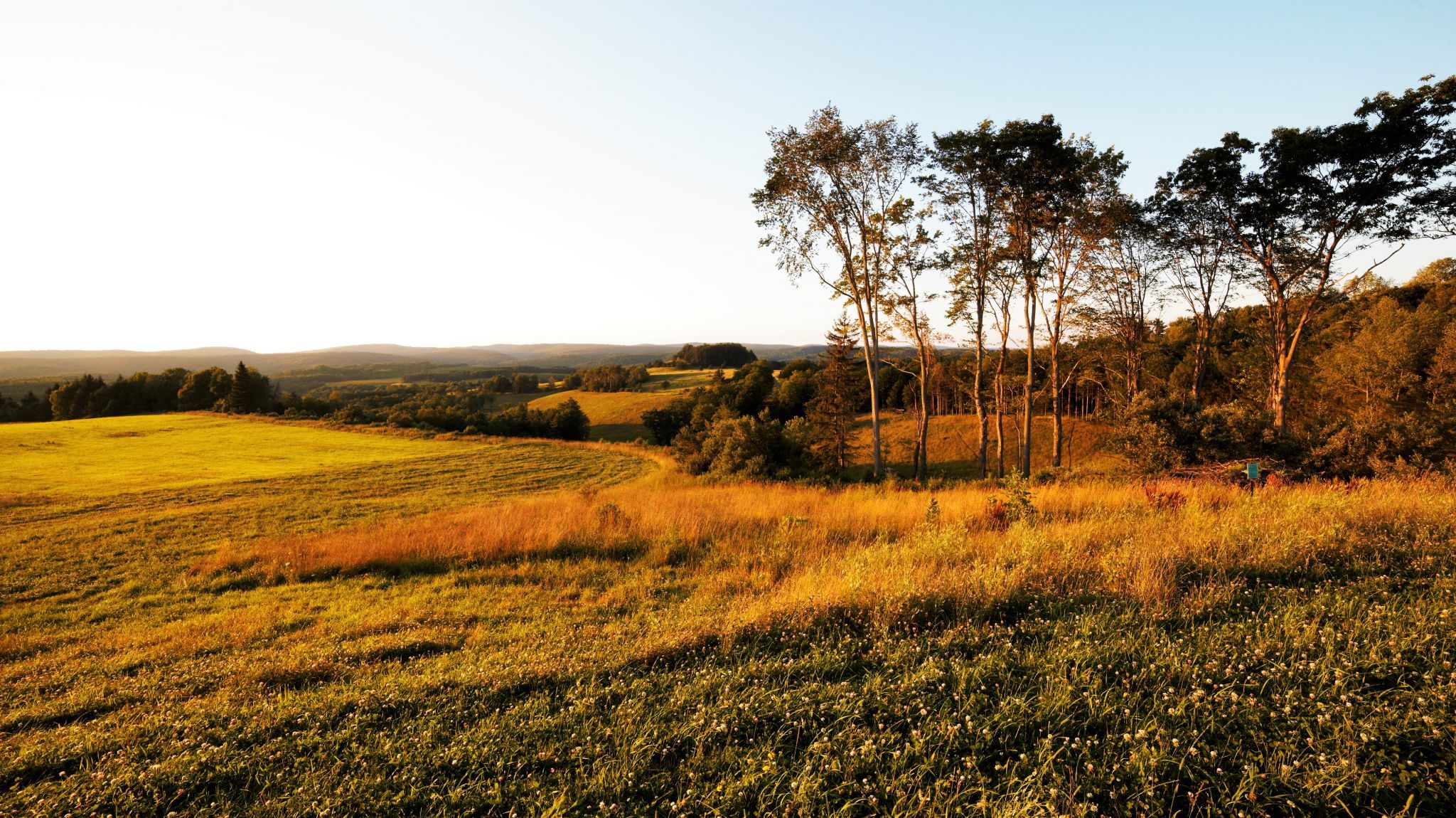 Vistas of Central Pennsylvania, USA