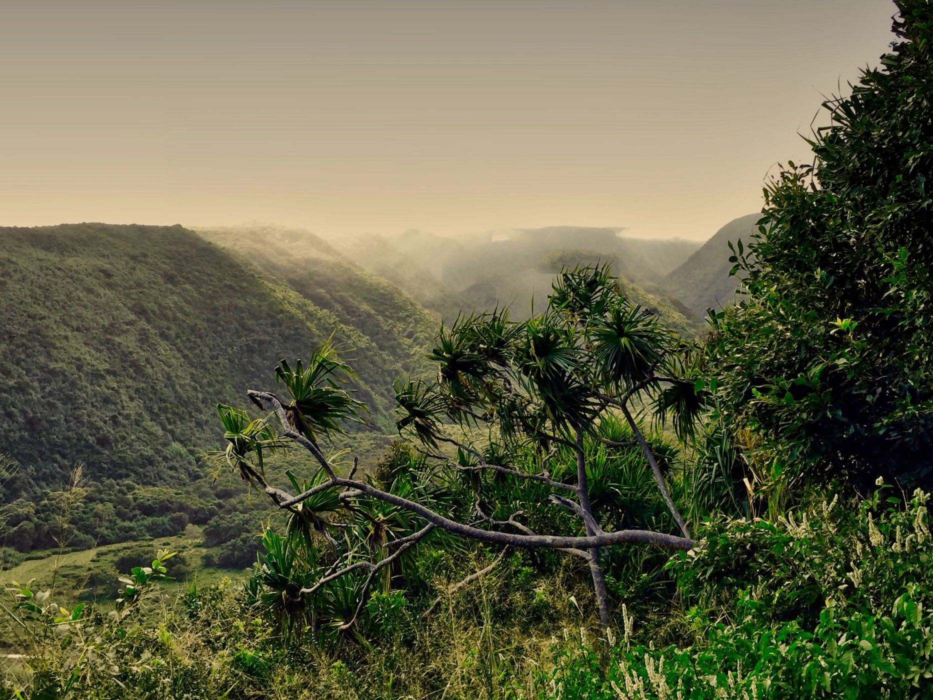 Waipi'o, Big Island, Hawaii, USA