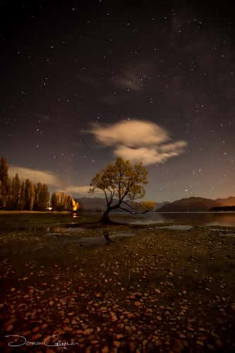 Lake Wanaka - The lonely Tree