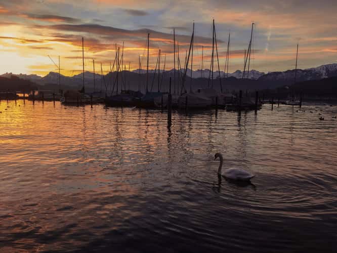 waterfront in Lucerne