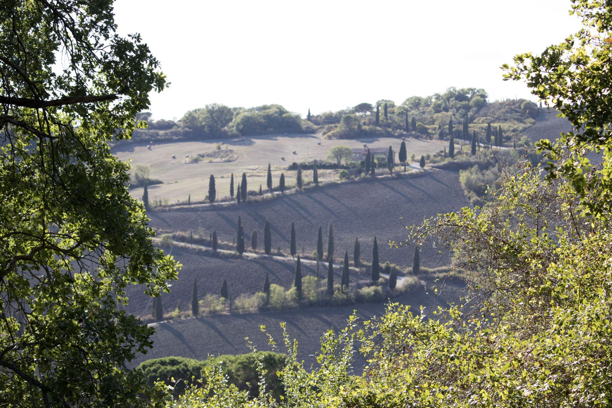 Winding road, Italy