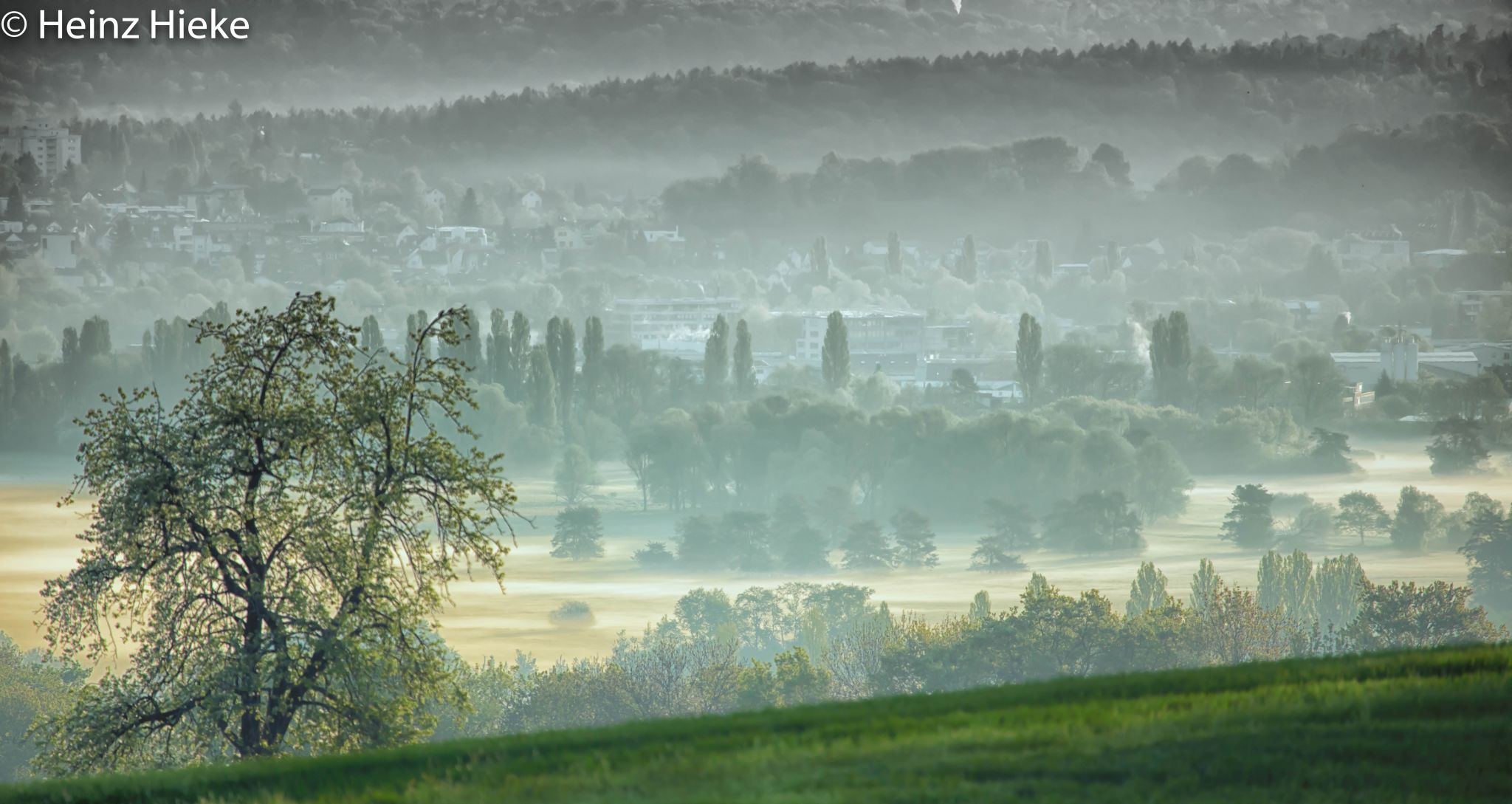 Wolmatinger Ried, Switzerland