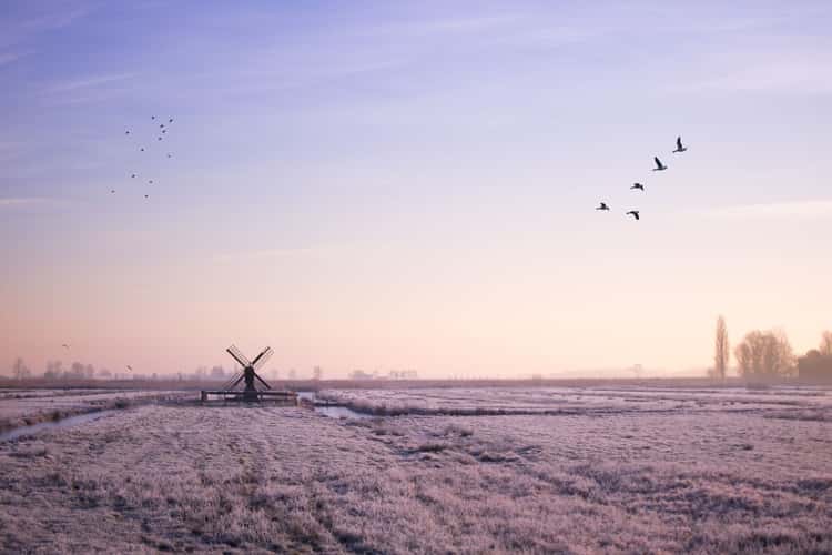 zaanse schans