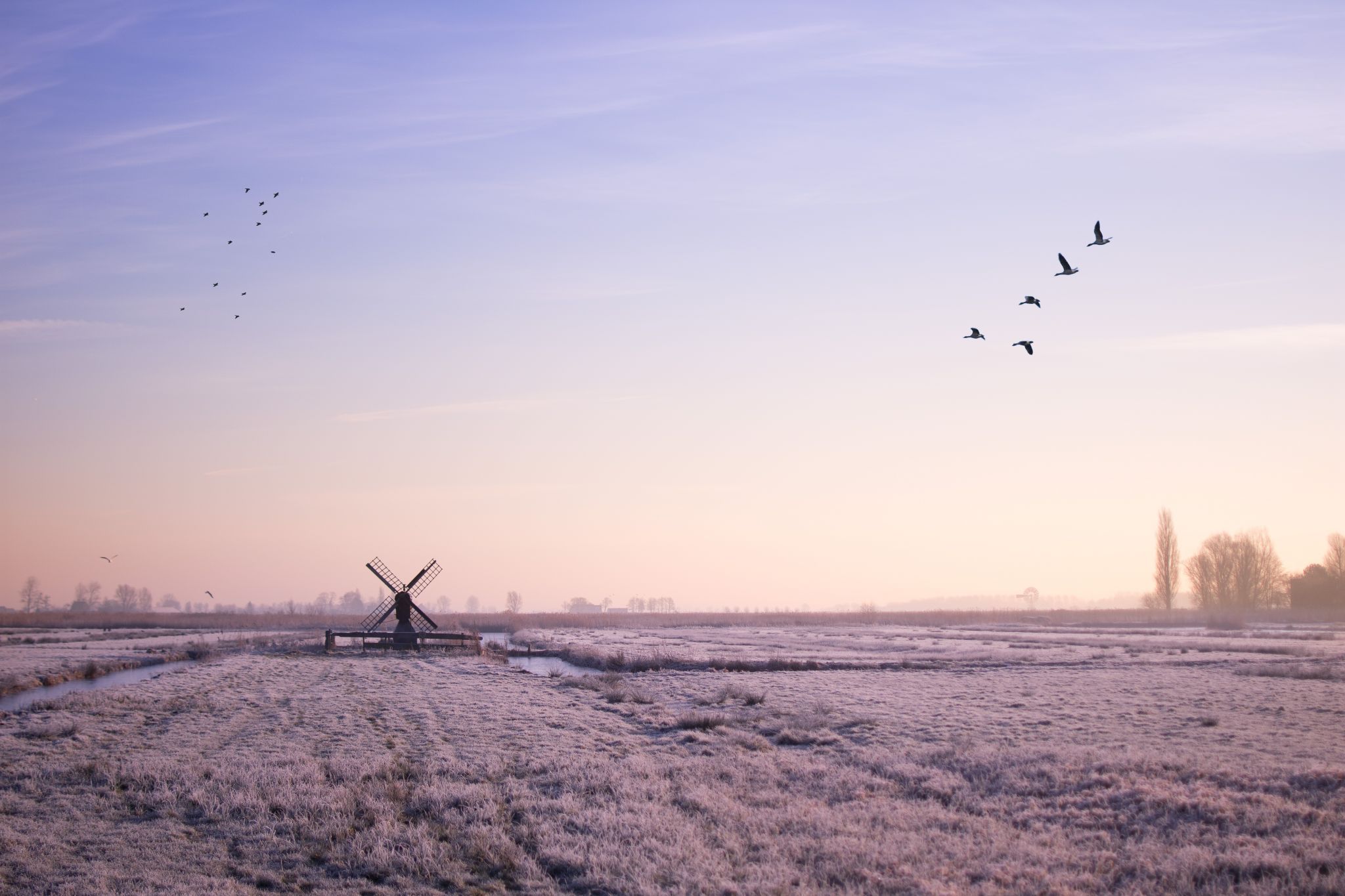 zaanse schans, Netherlands