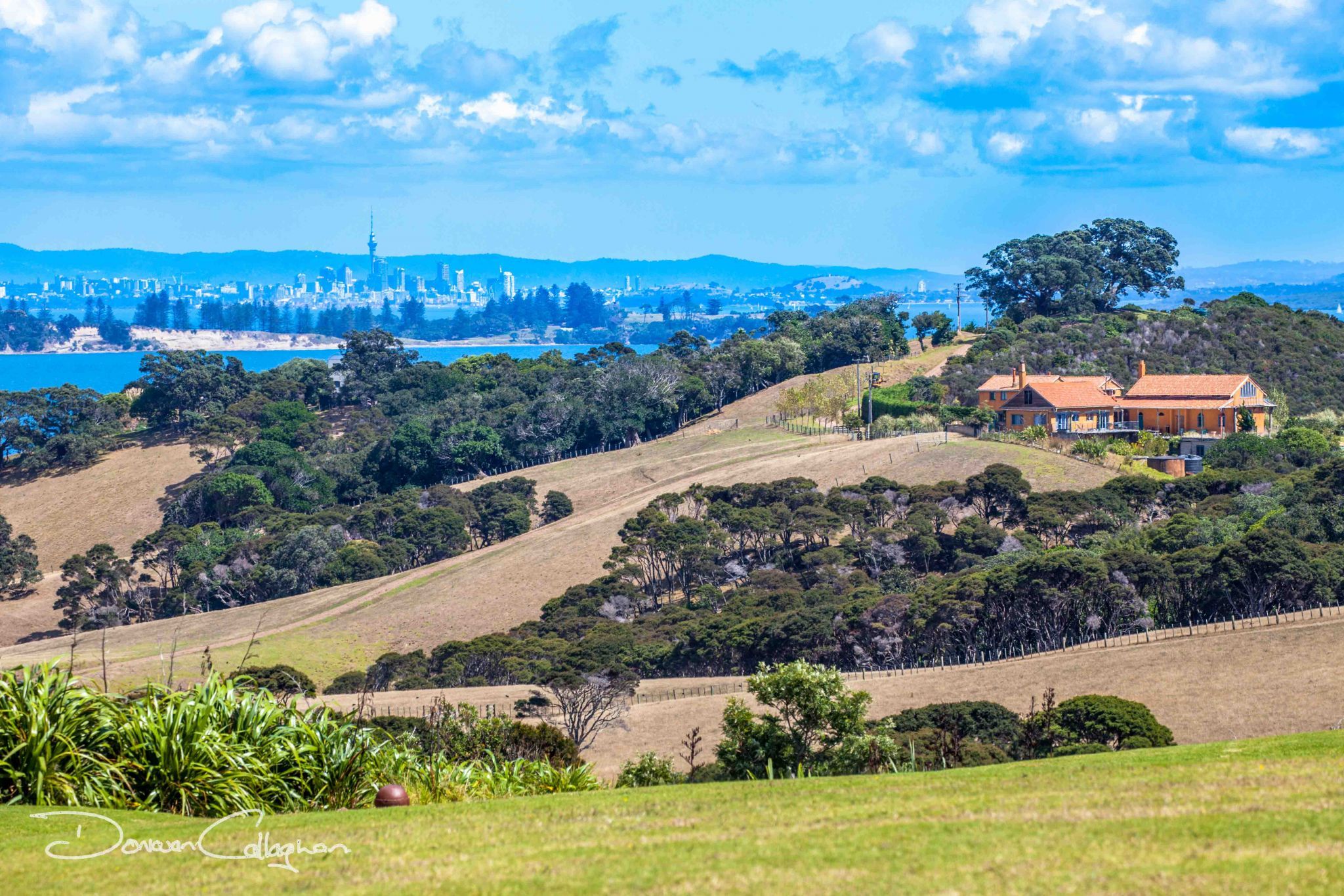 Auckland Harbour from Waiheke Island, New Zealand