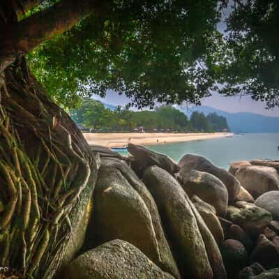 Beach through the trees, Malaysia