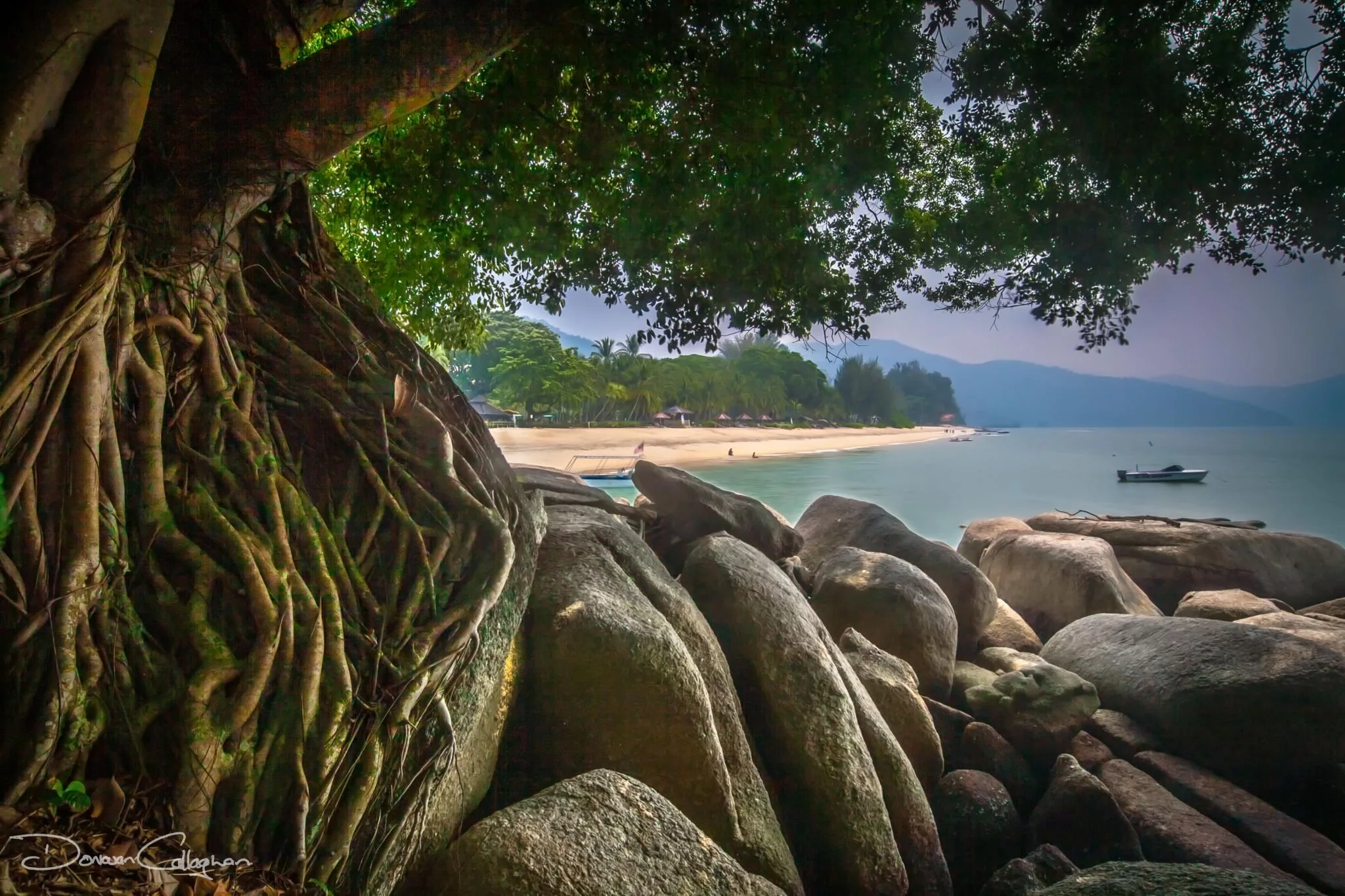 Beach through the trees, Malaysia