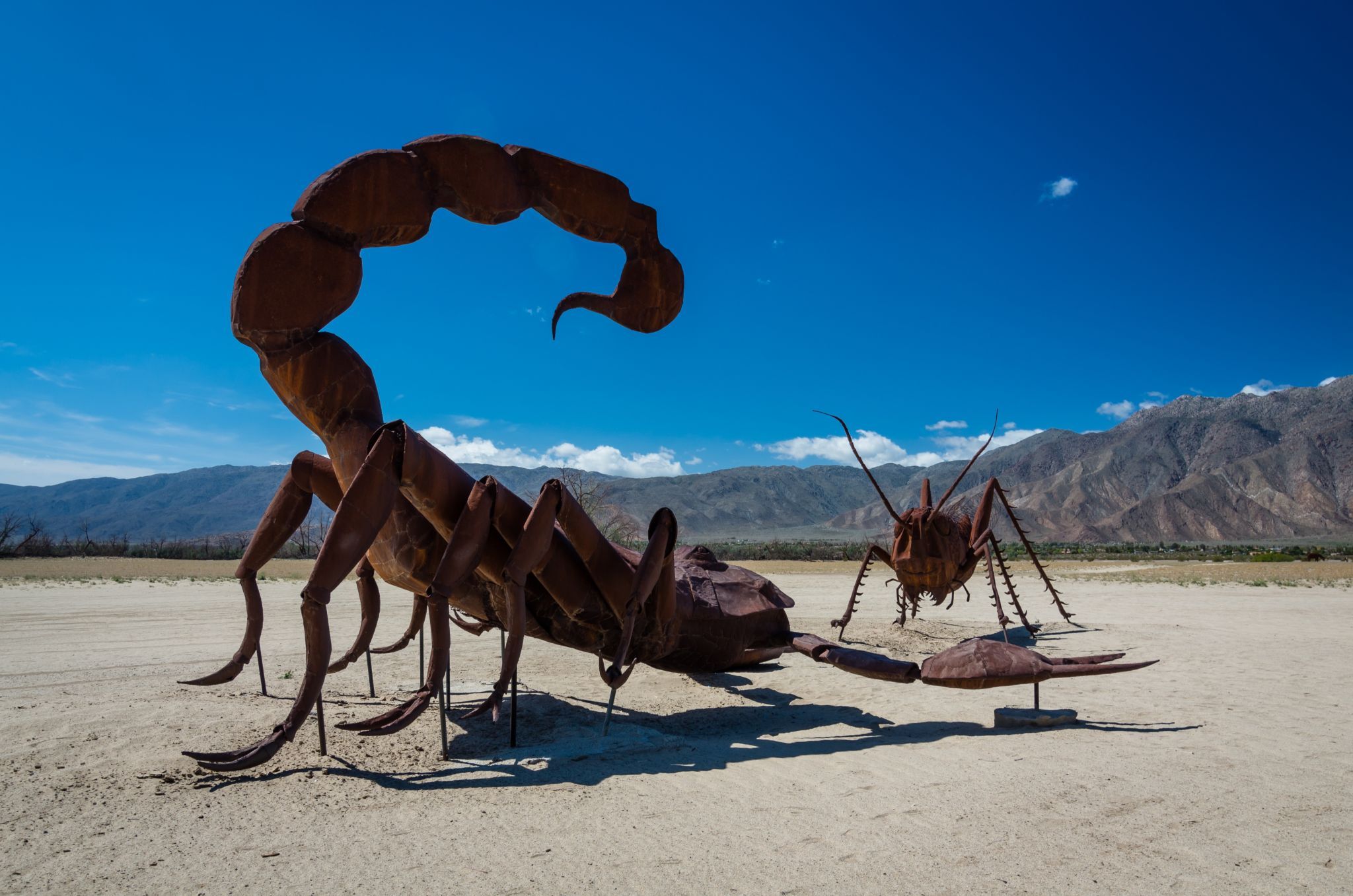 Borrego Springs Sculpture Park, California, USA