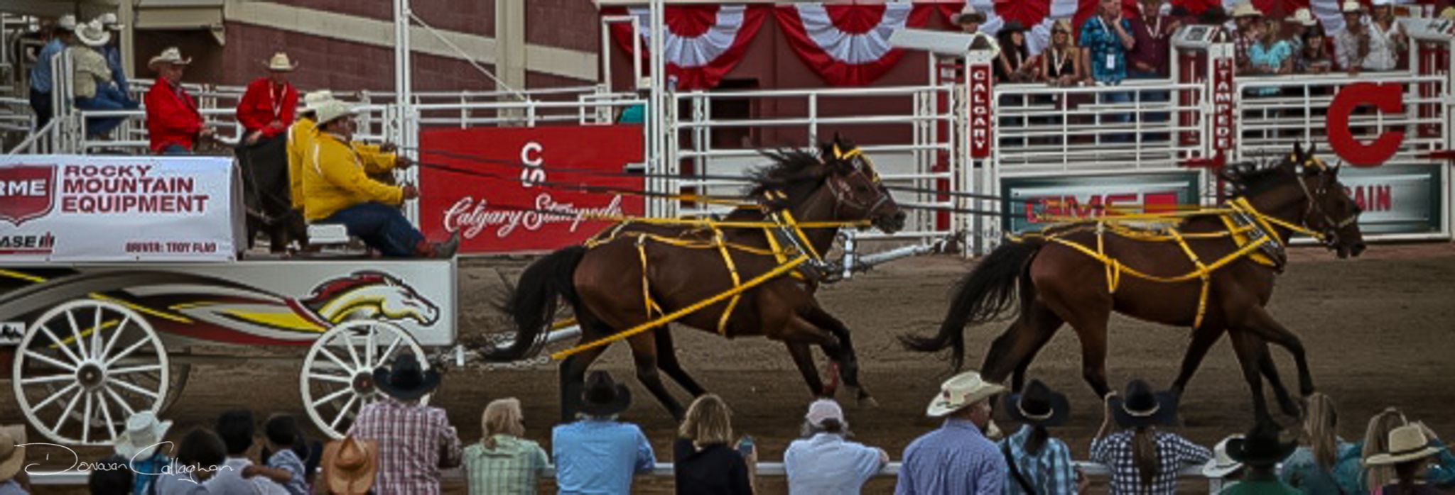Calgary Stampede Chuck wagon racing, Canada