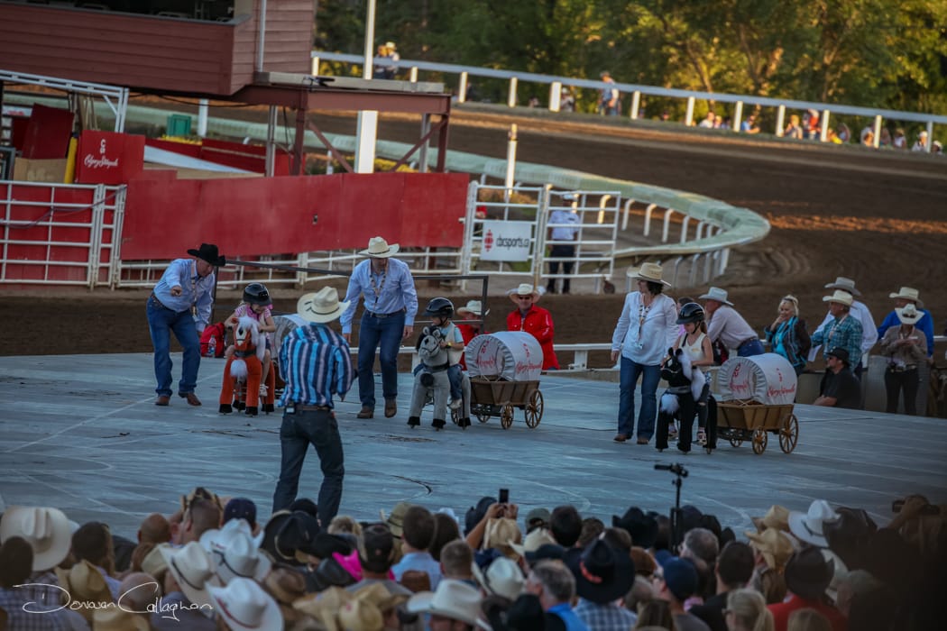 Calgary Stampede Mini Chuck wagon racing, Canada