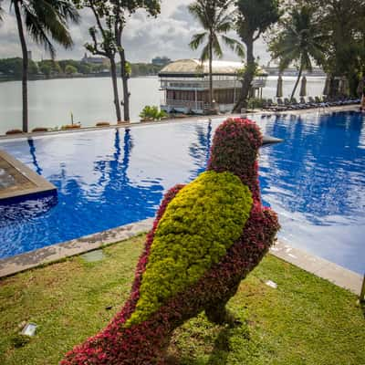 Cinnamom Lakeside Hotel Topiary Colombo, Sri Lanka