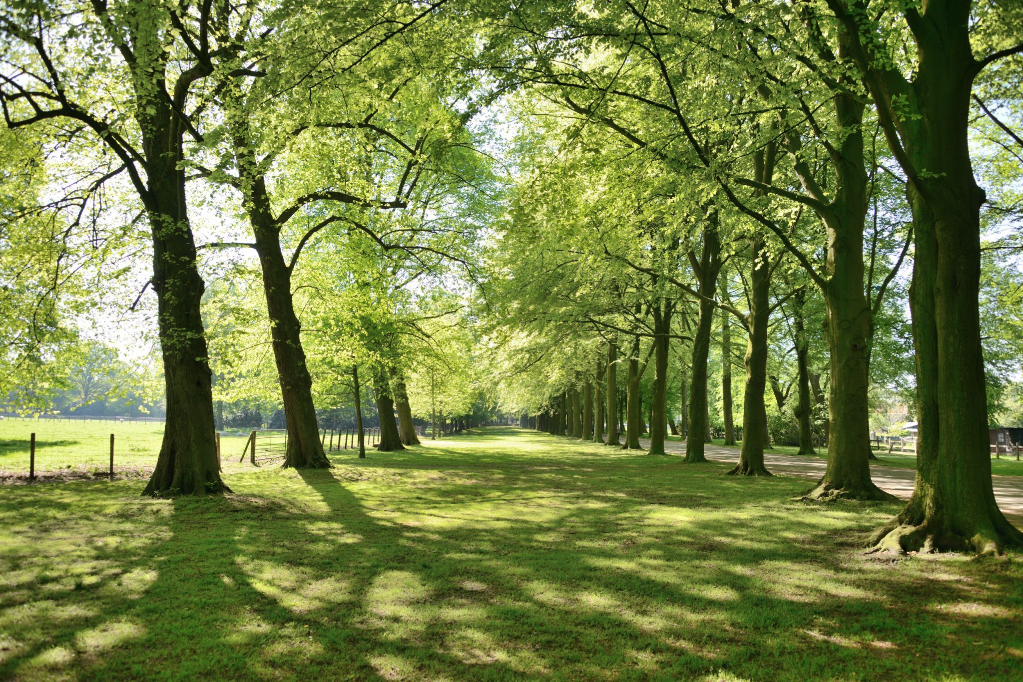 Clingendael Estate, Netherlands