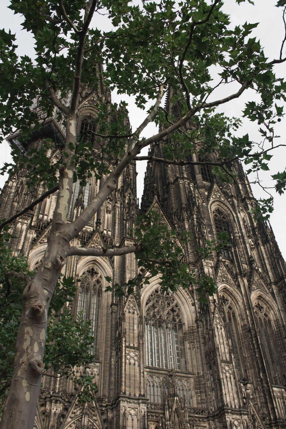 Cologne Cathedral, Germany