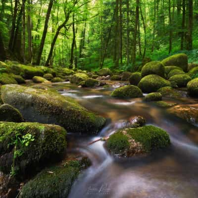 Der Grobbach (Geroldsauer Wasserfälle), Germany