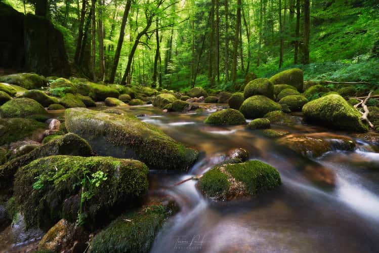 Der Grobbach (Geroldsauer Wasserfälle)