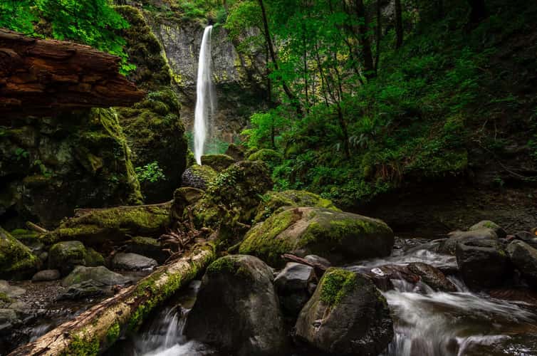 Elowah Falls