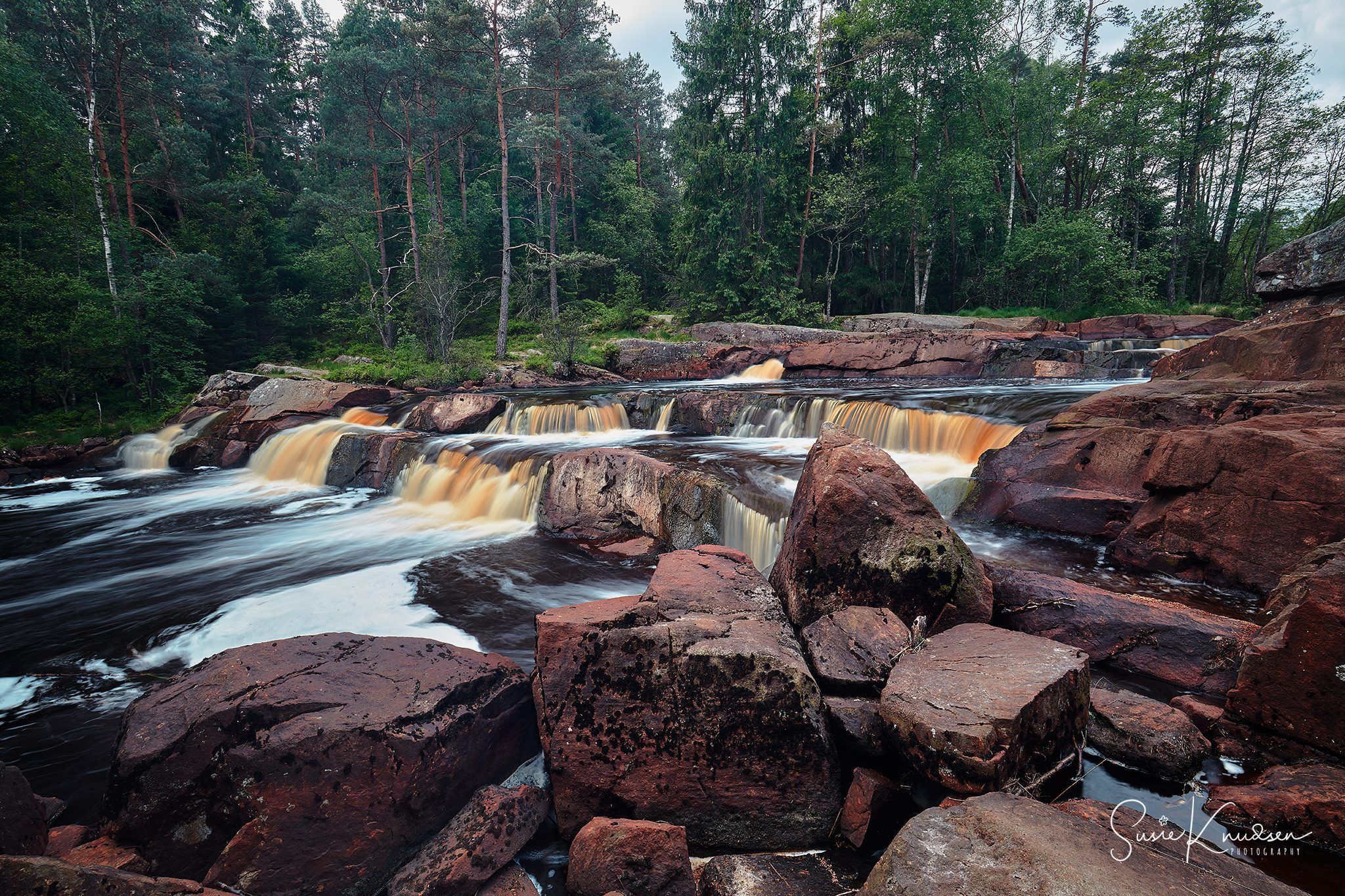 Flammafallet, Sweden