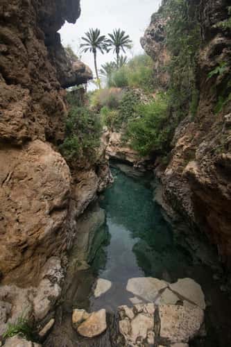 Gan HaShlosha National Park