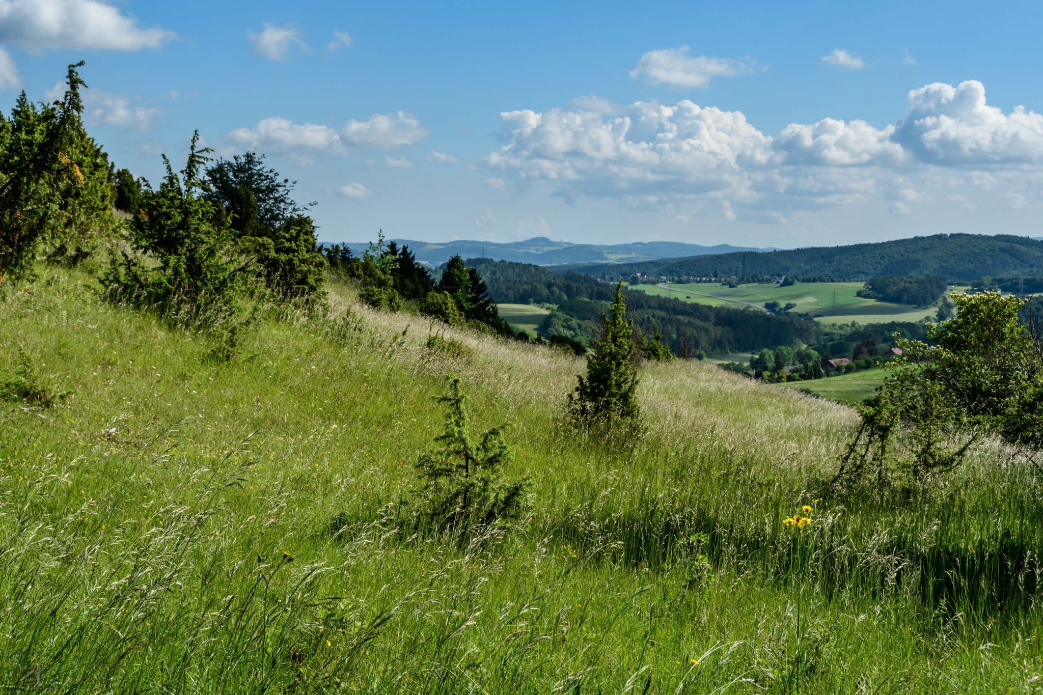 Hoenselberg, Germany