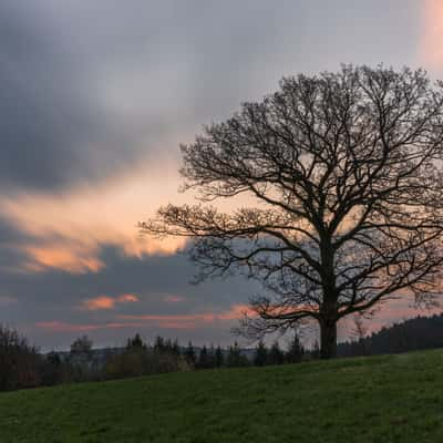 Islandpferdehof Herberge, Schalksmühle, Germany