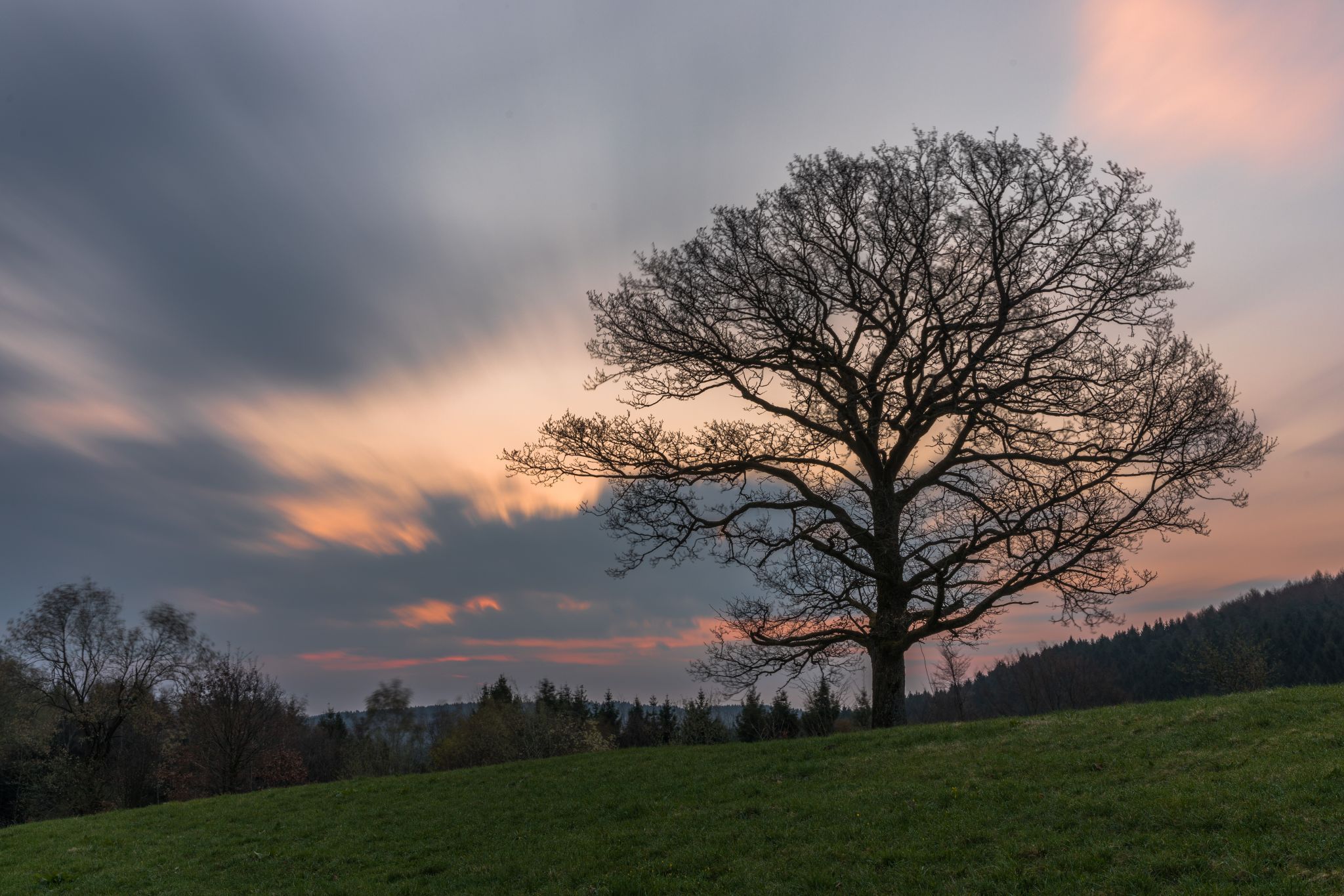 Islandpferdehof Herberge, Schalksmühle, Germany