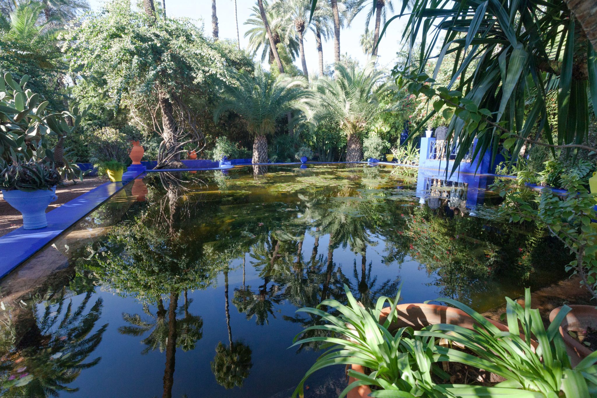 Jardin Majorelle, Marrakesh, Morocco