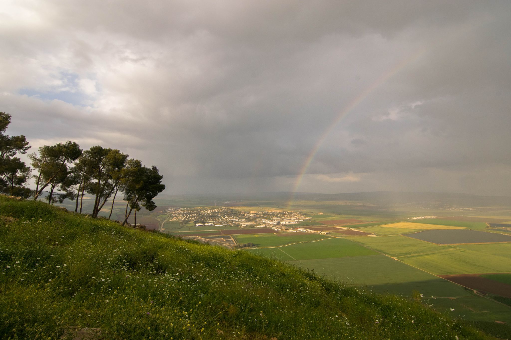 katef shaool, Israel