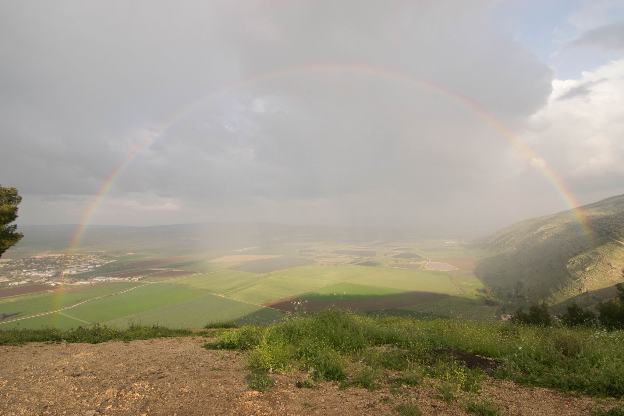 katef shaool, Israel