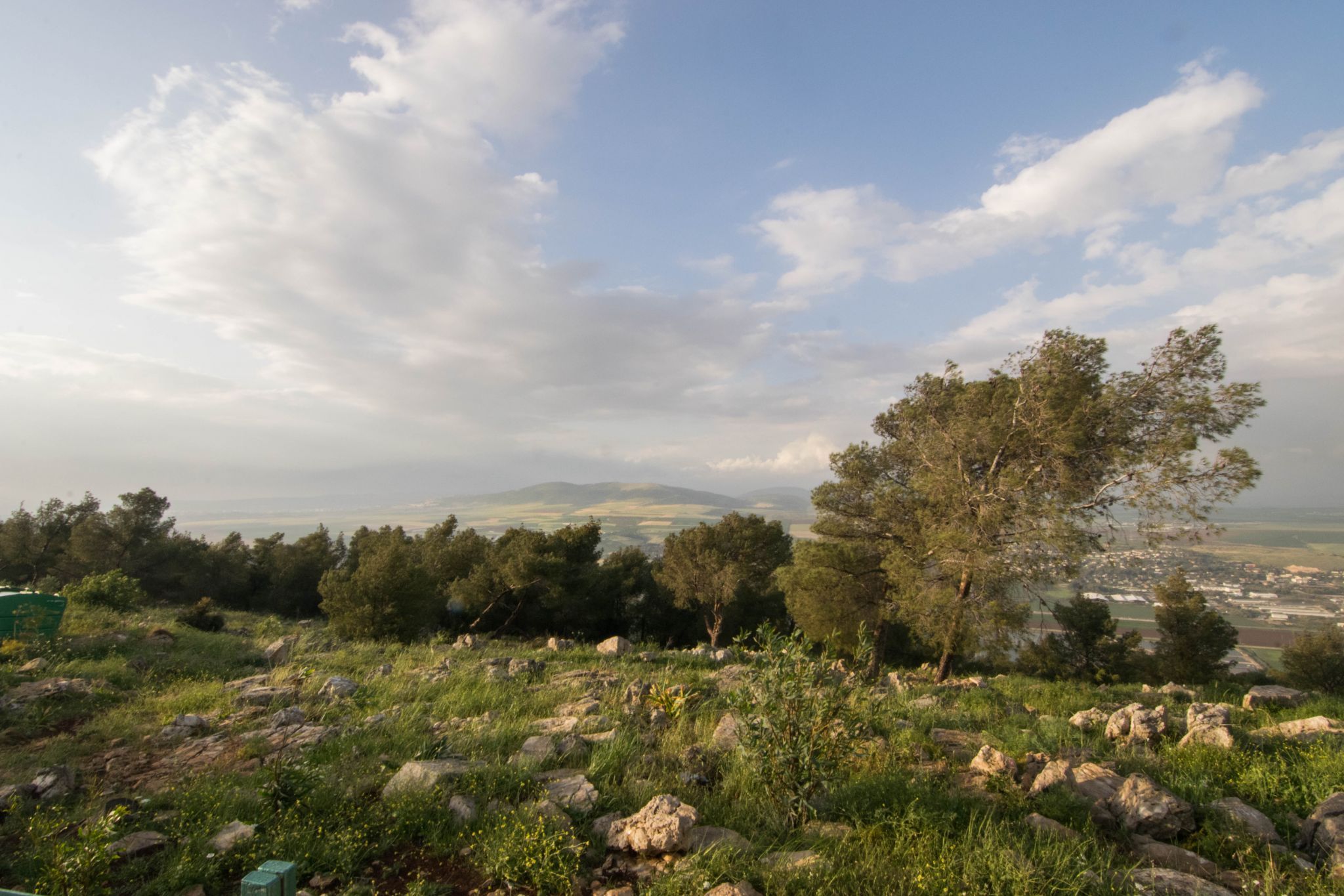 katef shaool, Israel