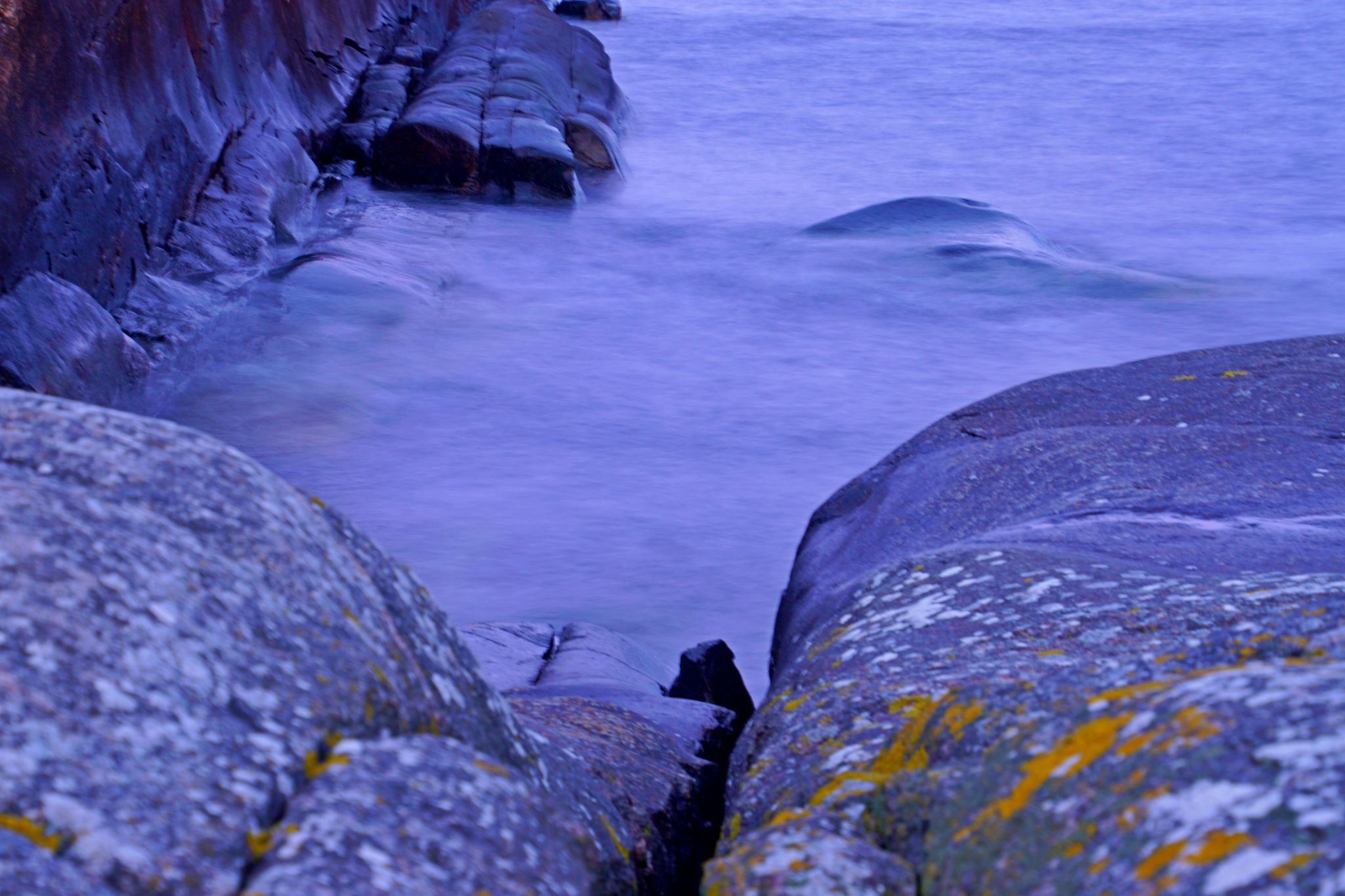 Kofsnabbe, Sweden