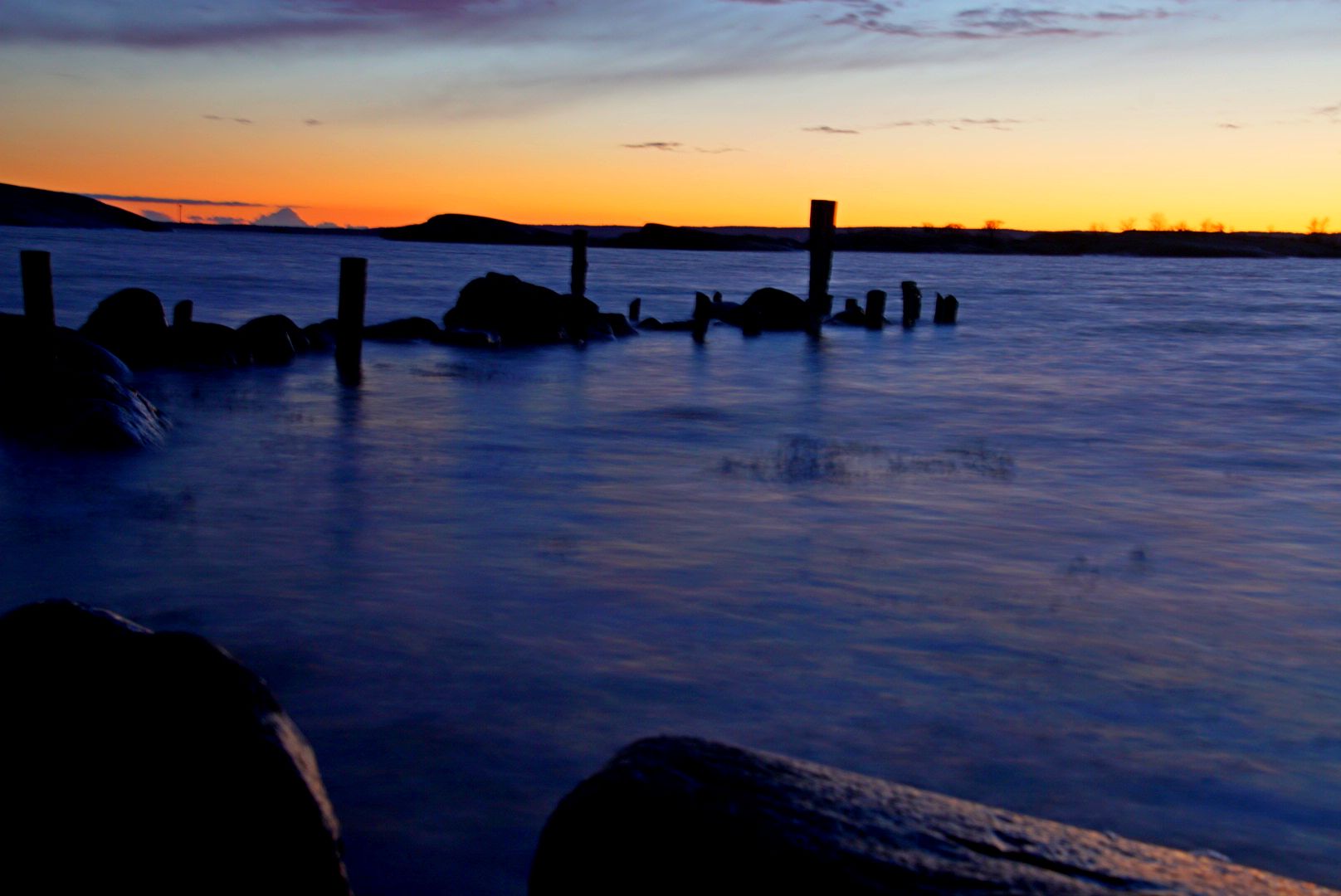 Kofsnabbe, Sweden