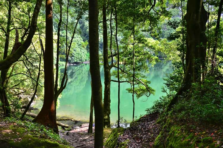 Lagoa do Congro, Sao Miguel, Azores